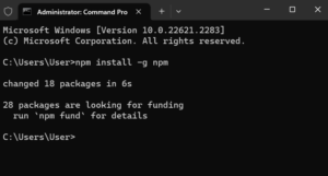 update the npm installation